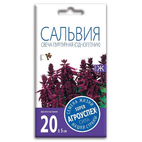 Сальвия Свеча пурпурная F1, семена Агроуспех 10шт