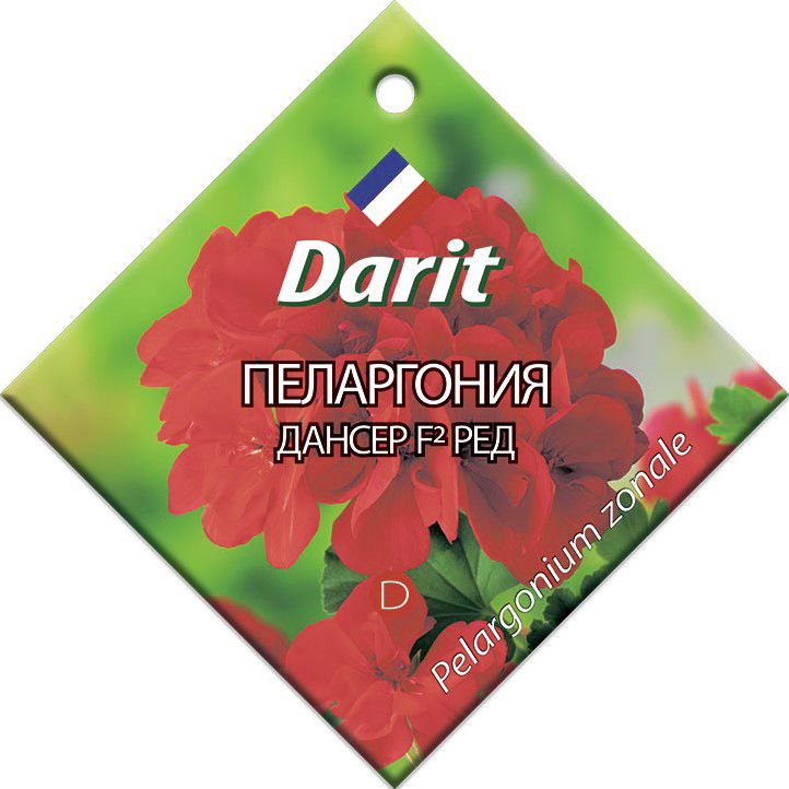 Пеларгония Дансер Ред F2, семена Дарит 4шт (500)