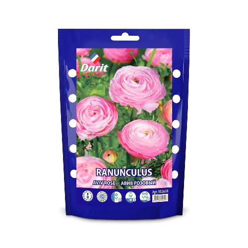 Ранункулюс Авив Пинк Ranunculus Aviv Pink 6/+, Darit 10 шт