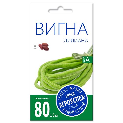 Вигна (фасоль) Лилиана, семена Агроуспех 10шт (150)