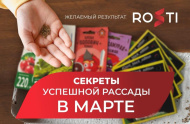 Рассадный март: секреты успеха для каждого – от новичка до гуру!