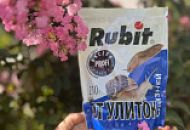 Профилактика слизней и улиток на участке