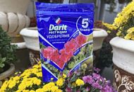 ​​Стартуй, расти, цвети!