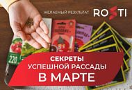 Рассадный март: секреты успеха для каждого – от новичка до гуру!