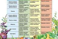 Севооборот: как планировать посадку овощей на сезон?