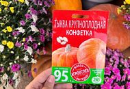 Выбирайте семена серии «МНОГО-ВЫГОДНО» от Агроуспех и начинайте создавать ваш огород с удовольствием и экономией!