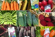 Слаще фруктов: какие сорта сладких овощей вырастить в огороде?