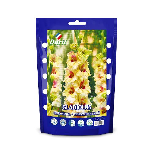 Дой-пак Гладиолус Феноменальный Gladiolus Fenomenal 14/+(крупноцветк., гофр., кремовый) 5шт