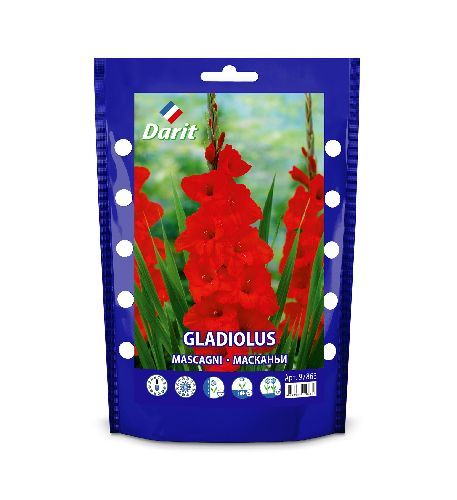 Гладиолус Масканьи Gladiolus Mascagni 12/+, Darit Дой-пак ,7шт